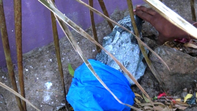 86334755_198537297919016_653321565893767