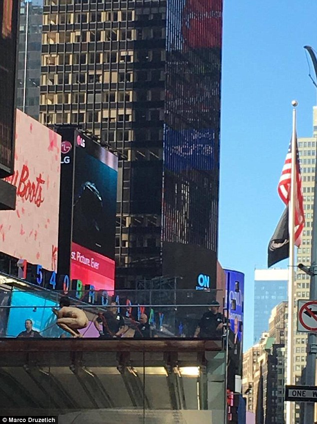 35D2B00F00000578-3668095-The_situation_w