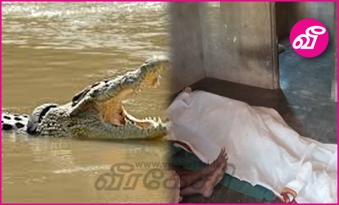 78051292_448269296077649_871072253708599