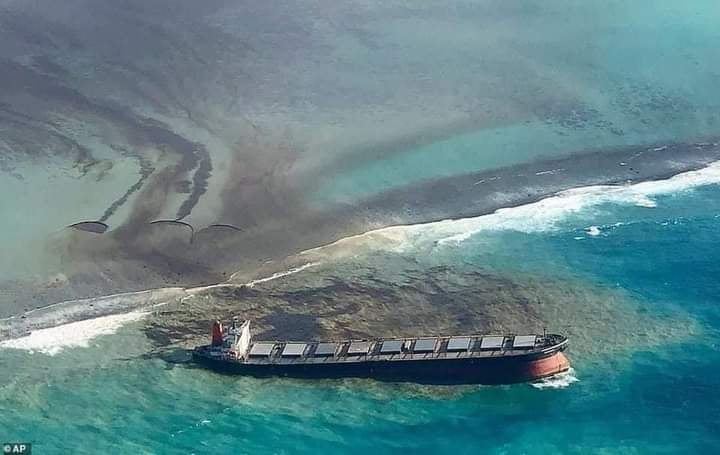 117643517_321238182566640_55221297142221