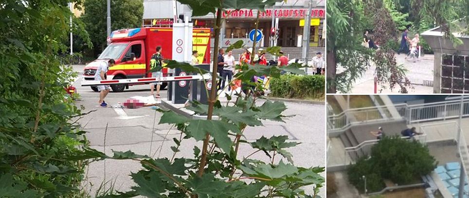 article-3703705-368272D100000578-475_964