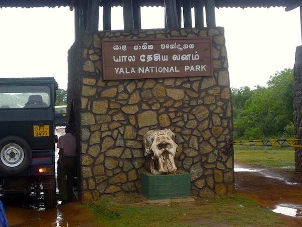 Entering-Yala-National-Park-Riding-the-b
