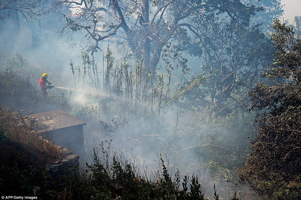 370C0DA900000578-3732183-image-a-12_1470