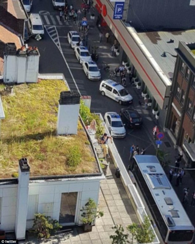 377E630300000578-3753316-image-m-12_1471