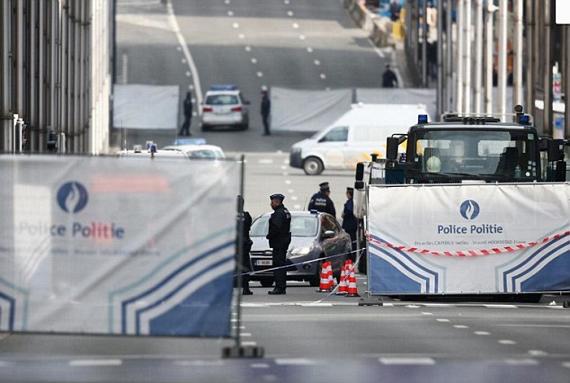 377E888200000578-3753316-image-a-1_14718