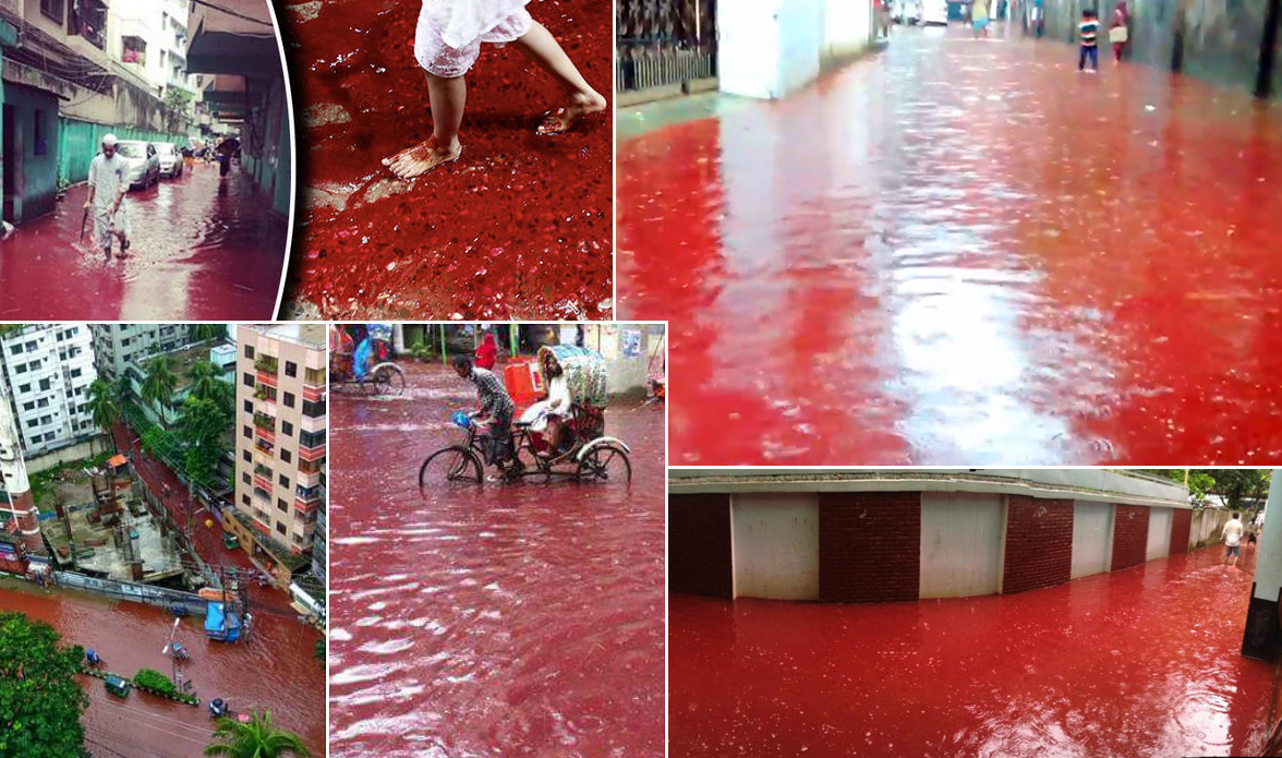 Dhaka-flooded-with-BLOOD-as-Eid-animal-s