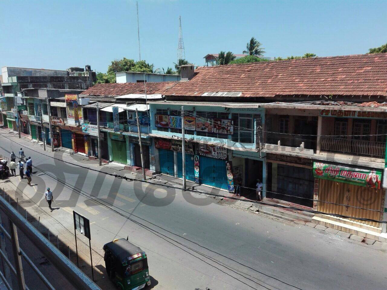 14455907_10205733365568106_653678172_o.j