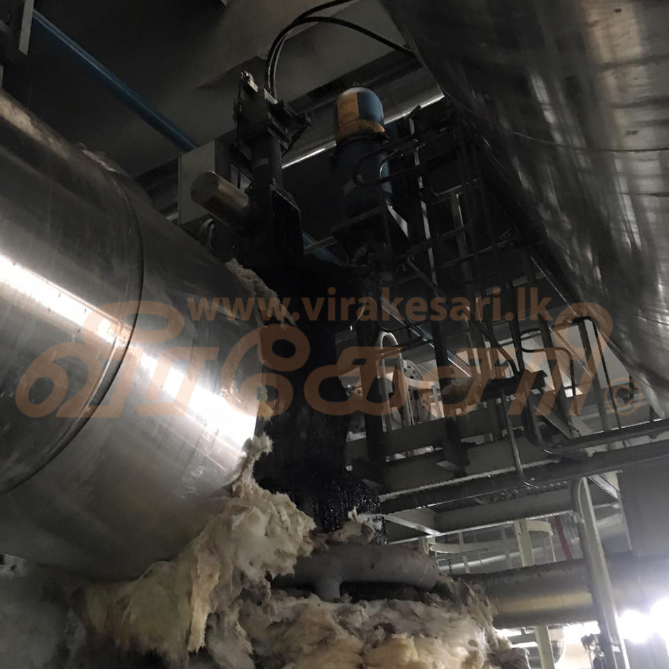 14590380_10154423544960485_4662430801649