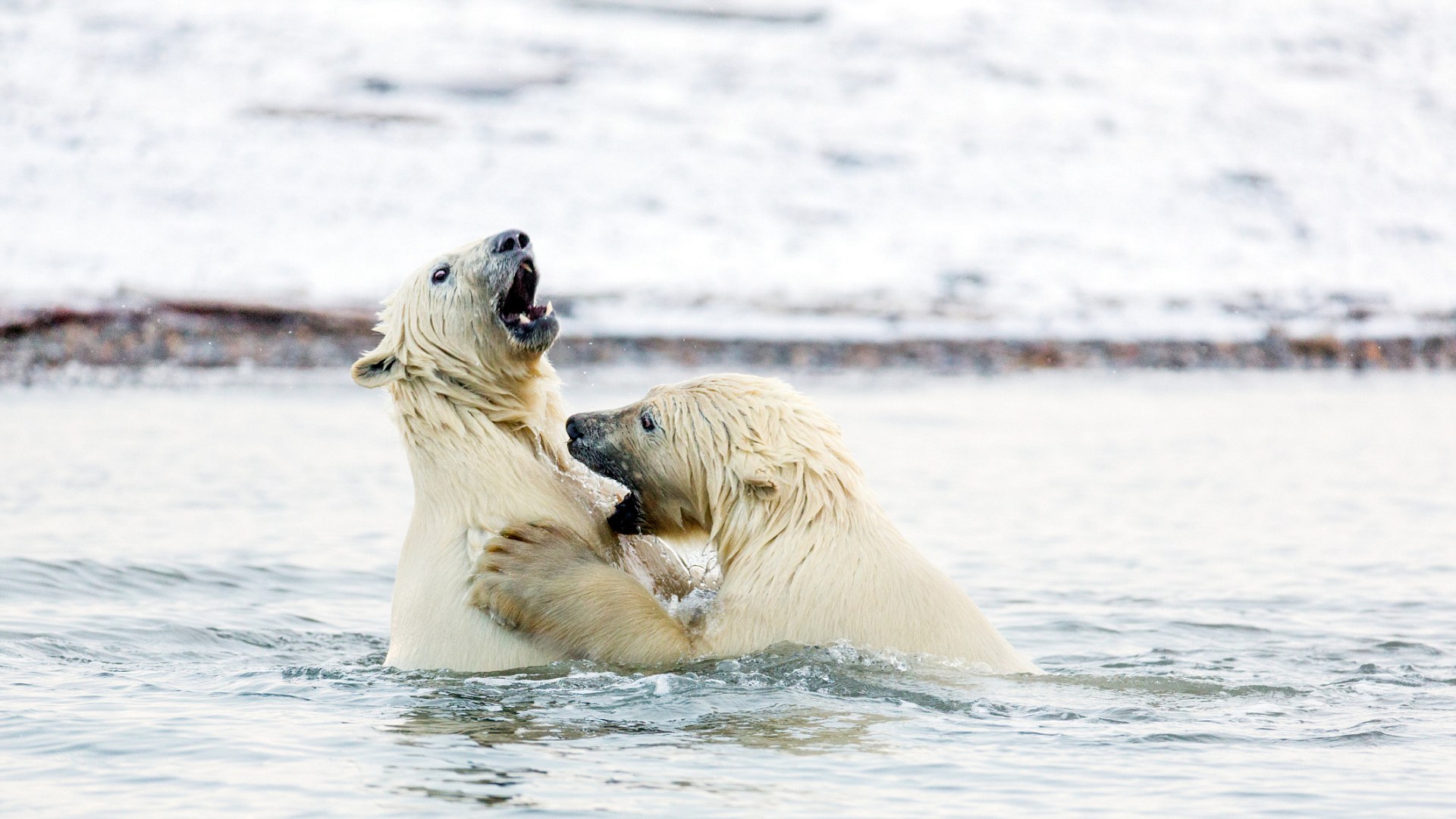 3A3A695700000578-0-image-m-5_14787967702