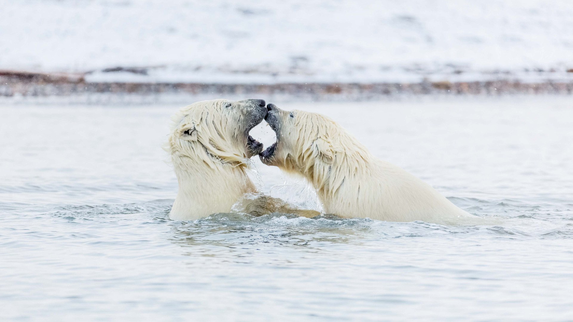 3A3A688500000578-0-image-m-3_14787964433