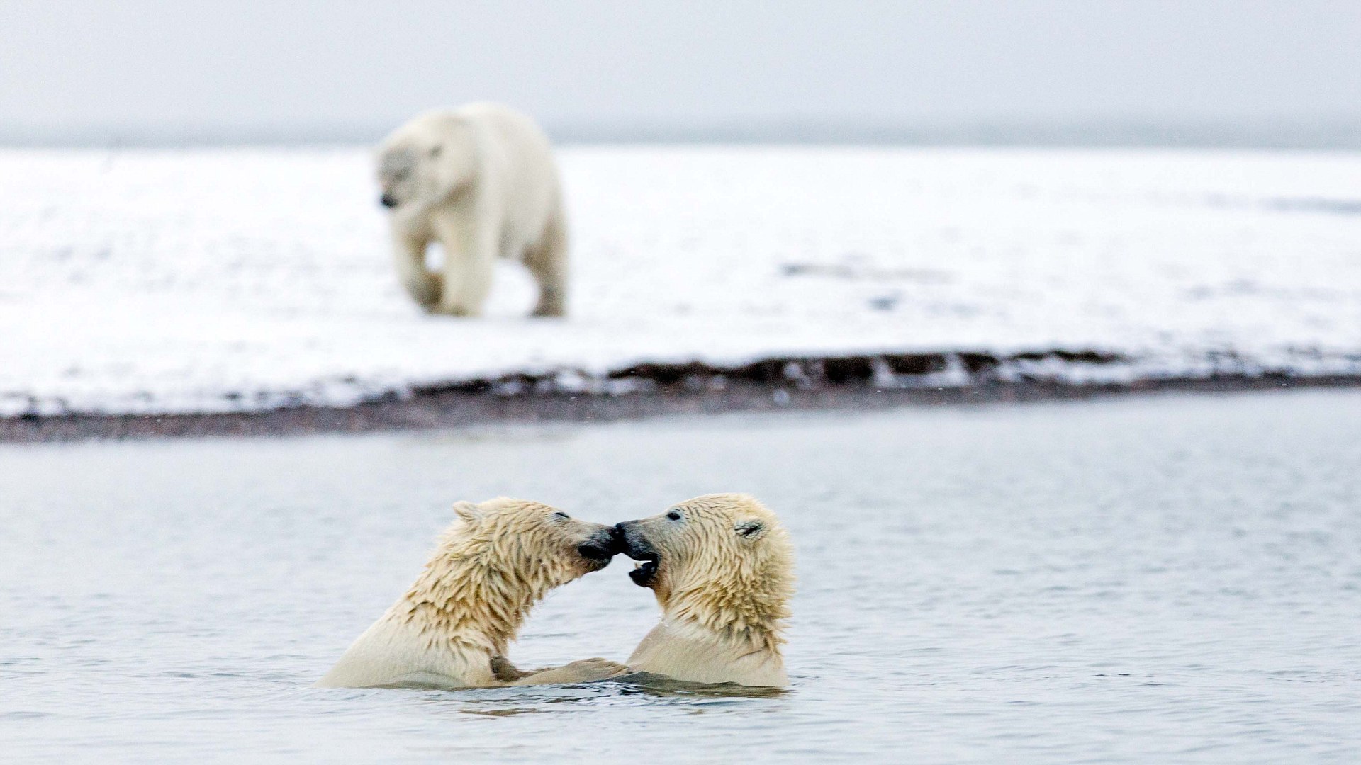 3A3A688D00000578-0-image-m-9_14787969796