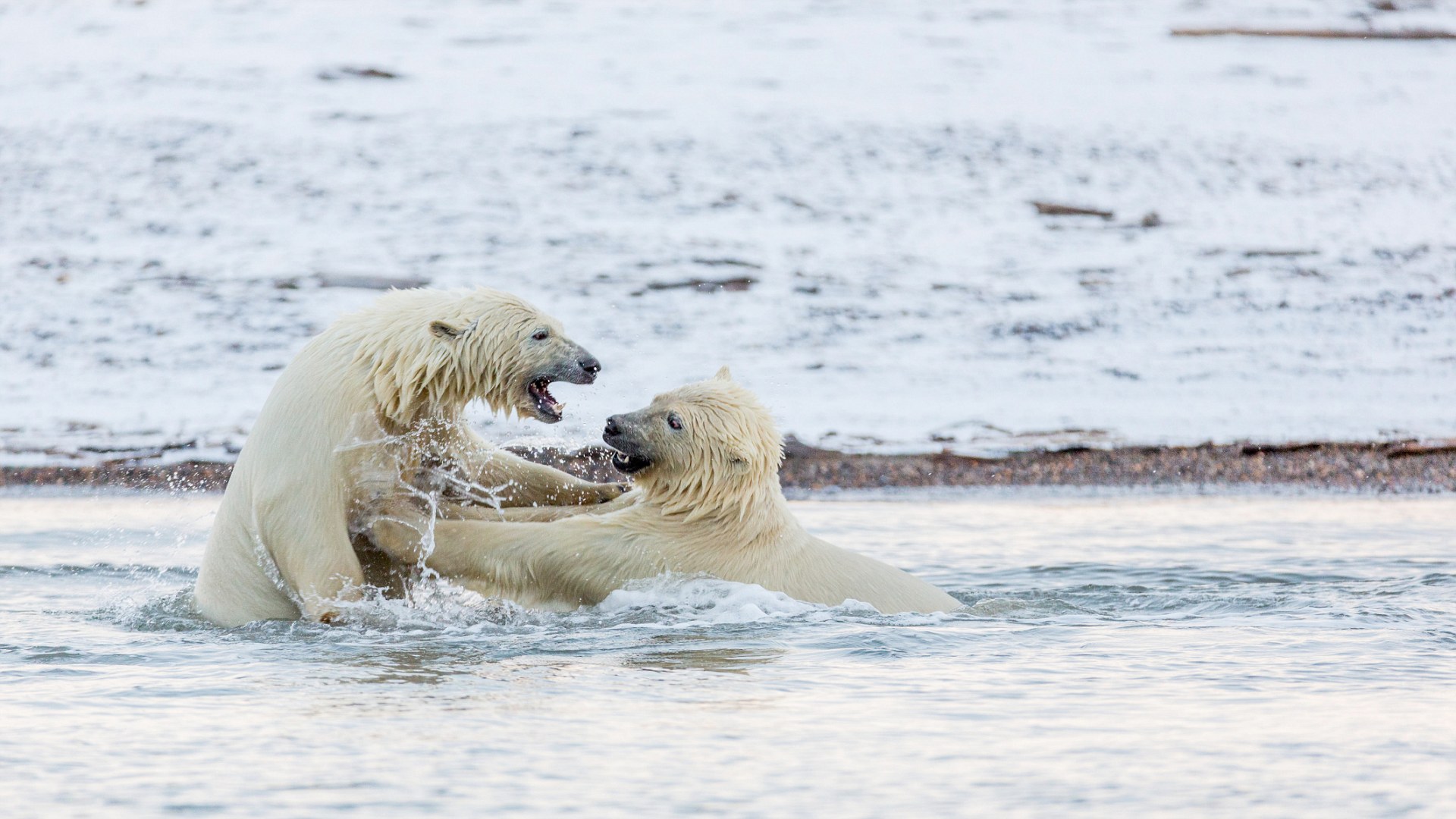 3A3A6E5F00000578-0-image-m-17_1478797343