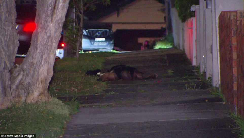 3A60315C00000578-3934596-image-a-5_14791