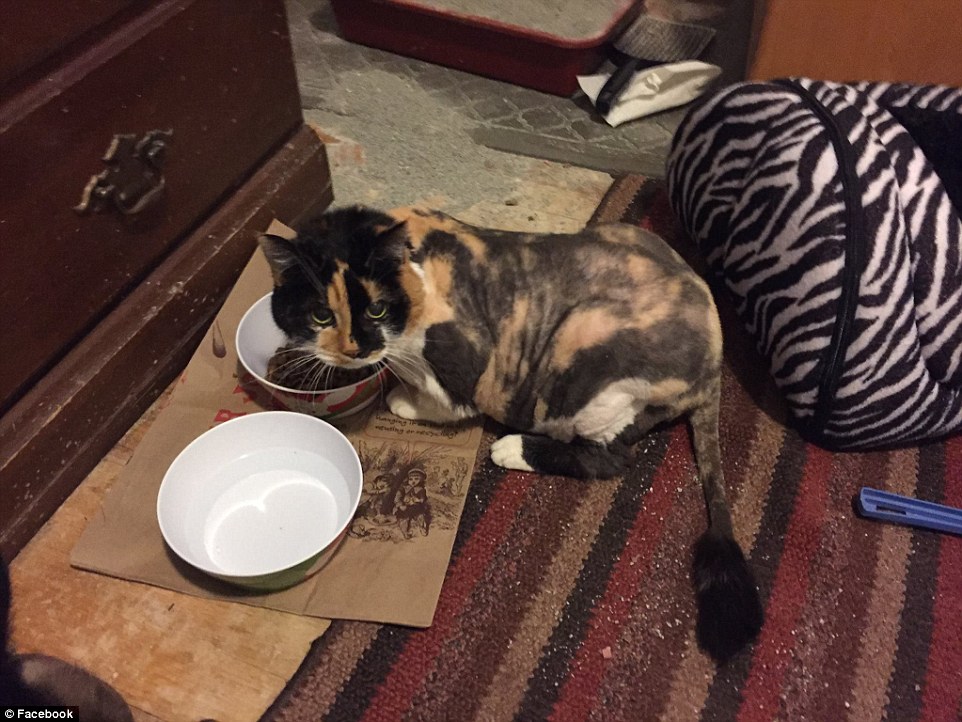 3B924D5C00000578-4057230-Paul_Russell_s_