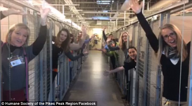 3B9E9BED00000578-4064338-image-a-115_148