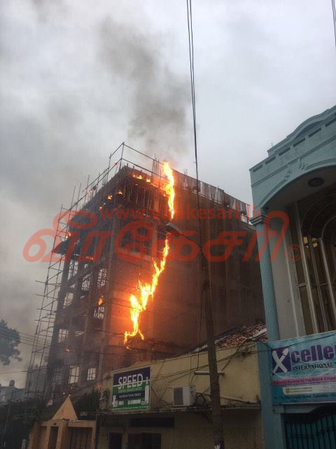 15801626_1248186071886507_352173974_n.jp