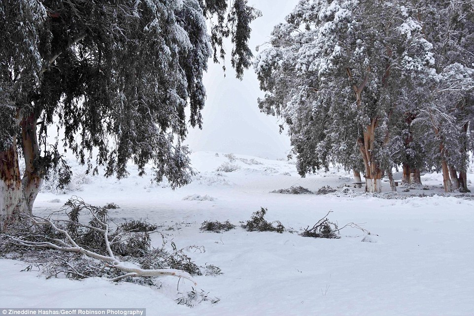 3C51E3F000000578-4140326-The_Algerian_ca