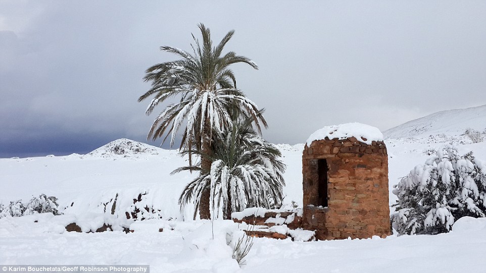 3C52D31A00000578-4140326-image-a-118_148