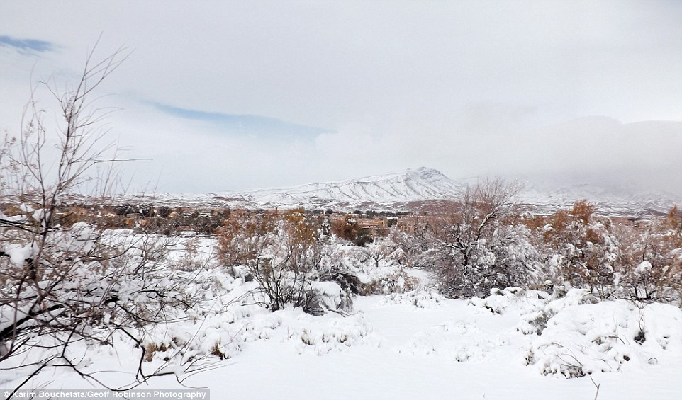 3C53E70500000578-4140326-A_photograph_sh