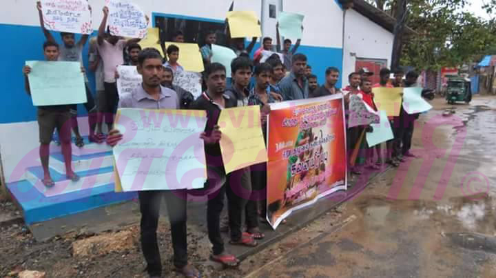 16237650_10206564333421783_787164790_n.j