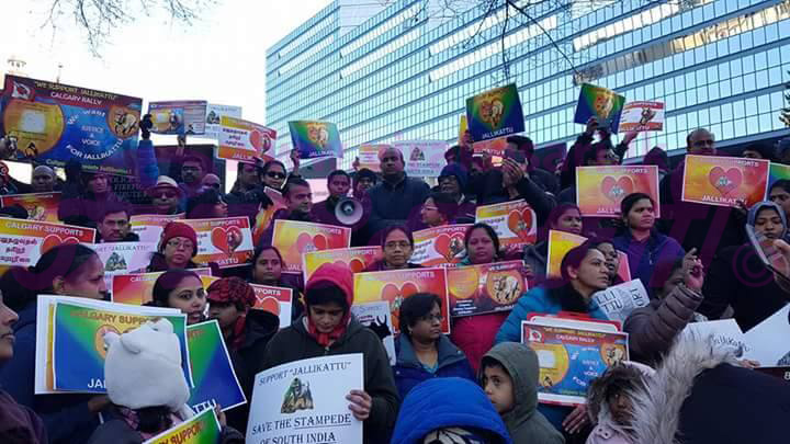 16237521_10206564251419733_961101831_n.j