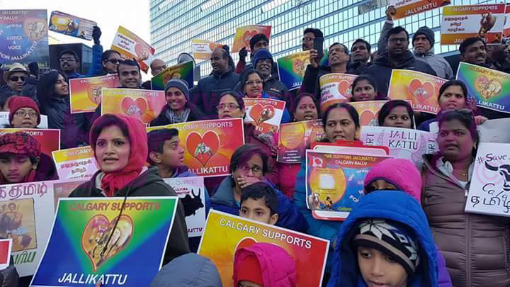 16237842_10206564250259704_1290937207_n.