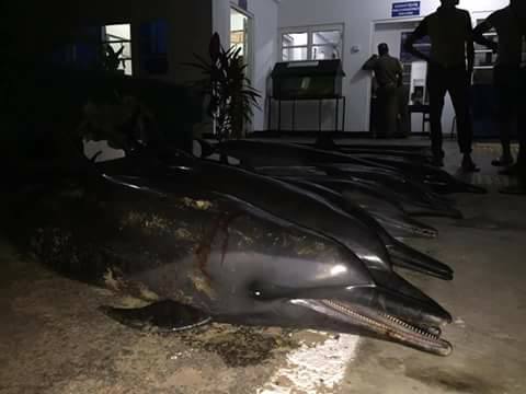 17103497_10212617669502259_2217317863810