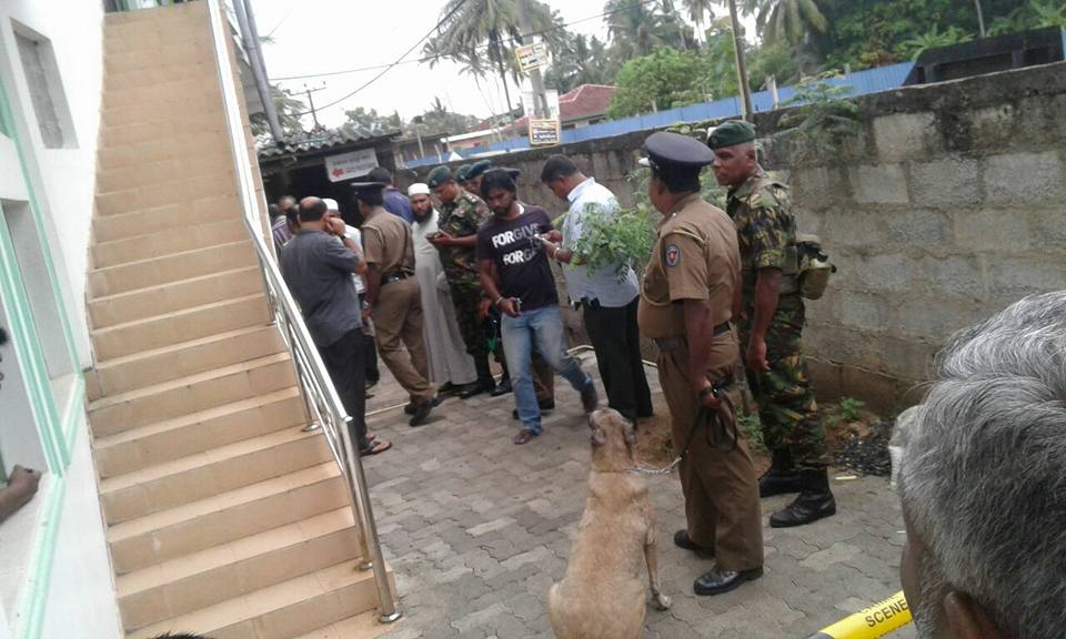 18619920_1906013879688269_82812982460021