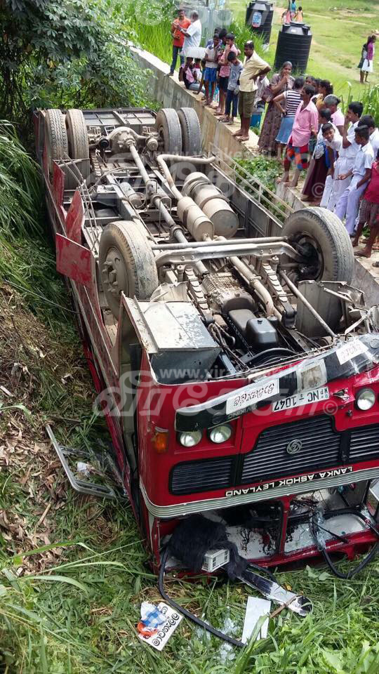 20668520_1463008723737573_1416648279_n.j