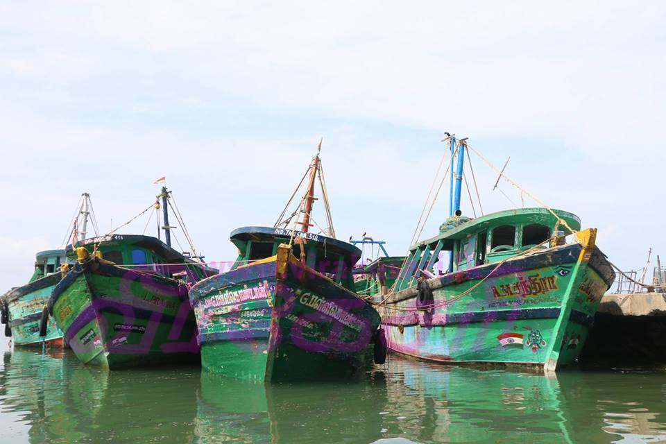 20707445_10207933934300949_592063428_n.j