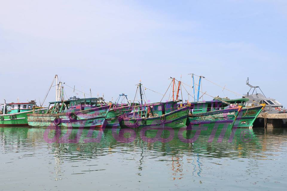 20668468_10207933934260948_500911672_n.j