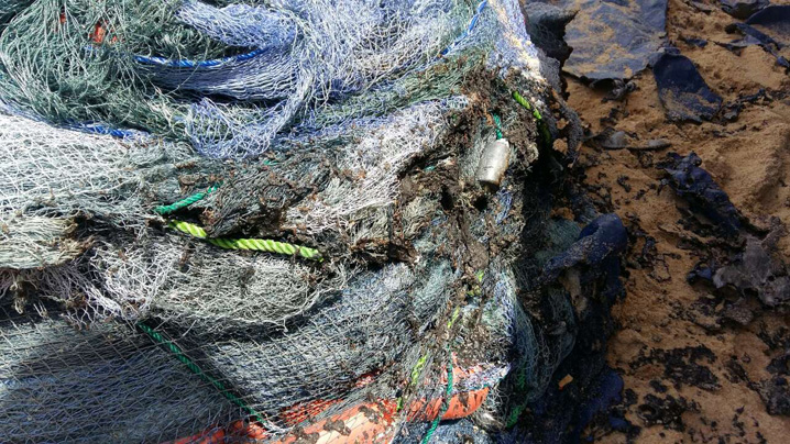 image-0-02-03-0cc83476ac1e0f89c4966834fc