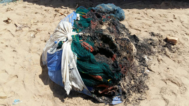 image-0-02-03-365fbc9dd9ceb6109532e5e8b2