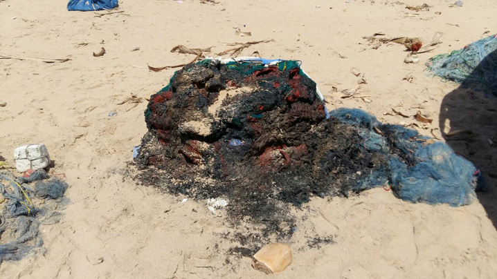 image-0-02-03-f492b78736ab56cd44bee0e5b2