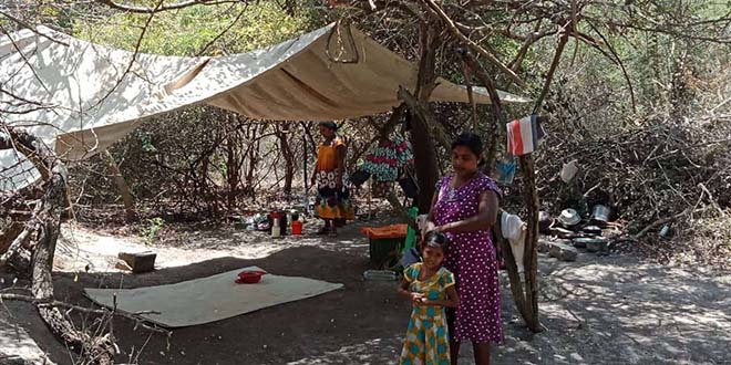 MULLIKULAM_MP_VISIT_25-07-2018__7___2_.j