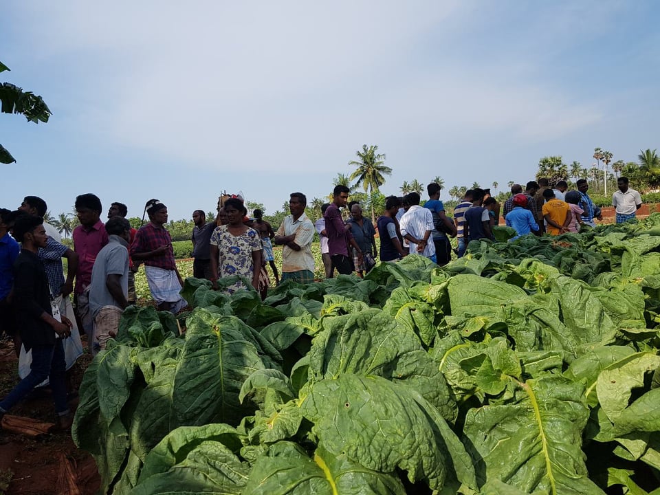 57012489_2198741763724688_37992713850632