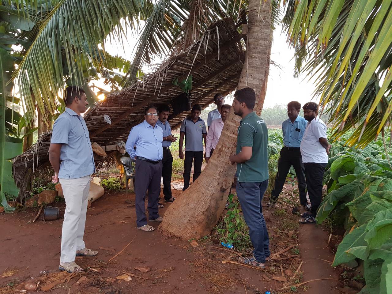 image-0-02-06-03dbca45d89649aa701d70092e