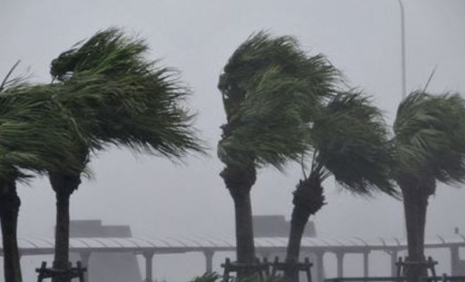 Image result for அதிவேக வீதி சாரதி virakesari