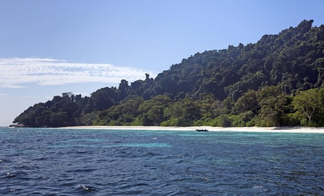 thumb_large_343BC76000000578-3592704-ima