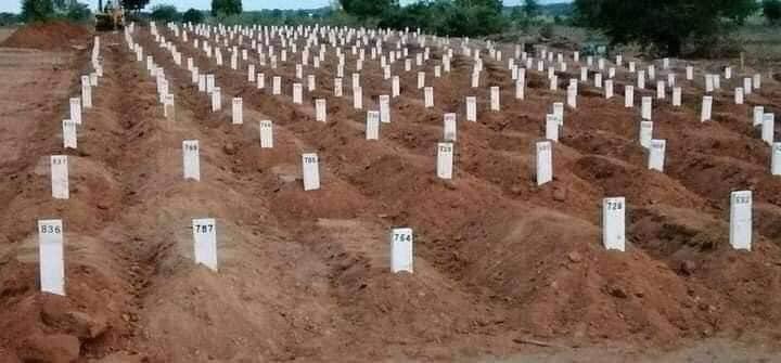 WhatsApp_Image_2021-08-08_at_20.19.23.jp