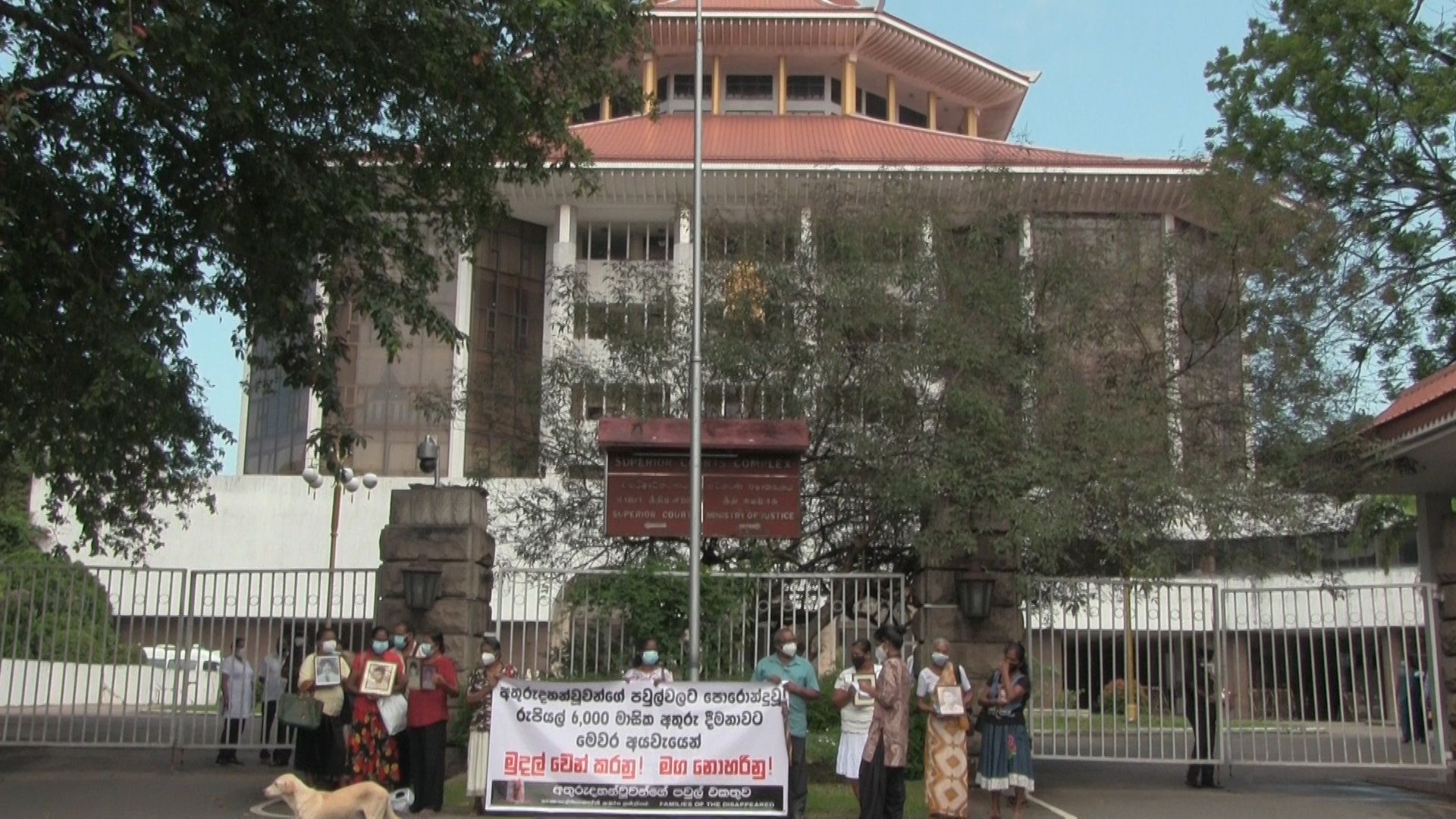 255449846_280504190664646_63746529576904