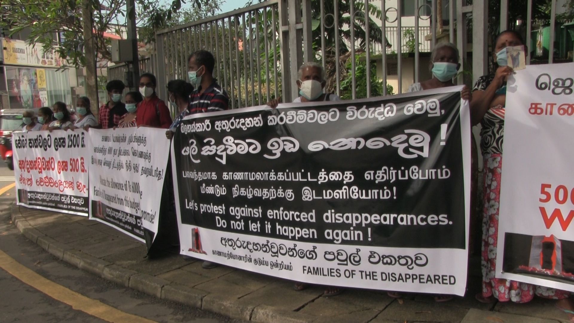 255601574_424625339036779_65775481712321