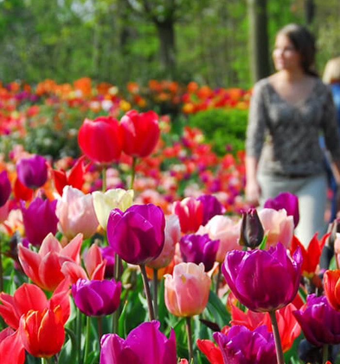 e2343841-8bbd-45ba-a52a-4b17d2cadbca-101