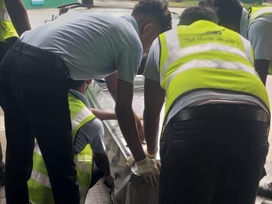 320596046_659363795939428_12185830438702