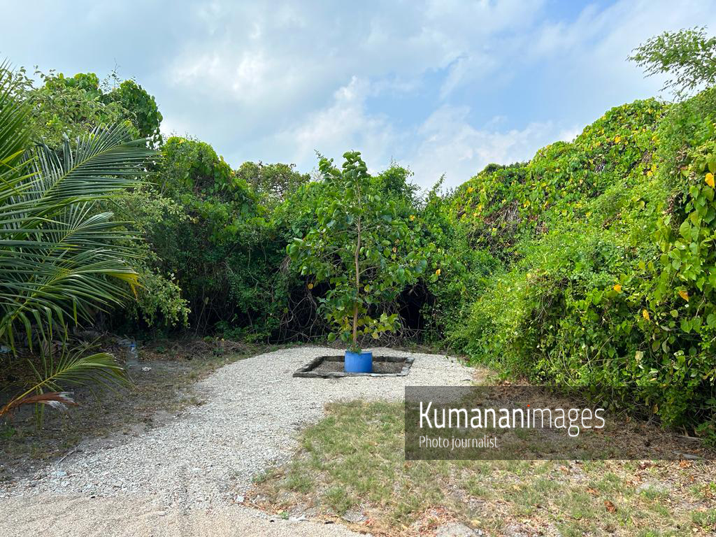 336633417_229313452981248_59095193577619