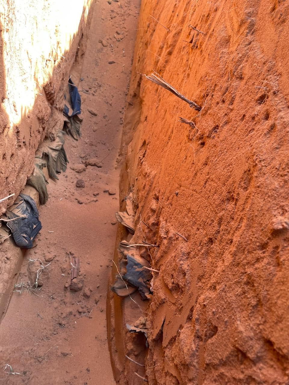 356858506_291950309872803_72108431214118