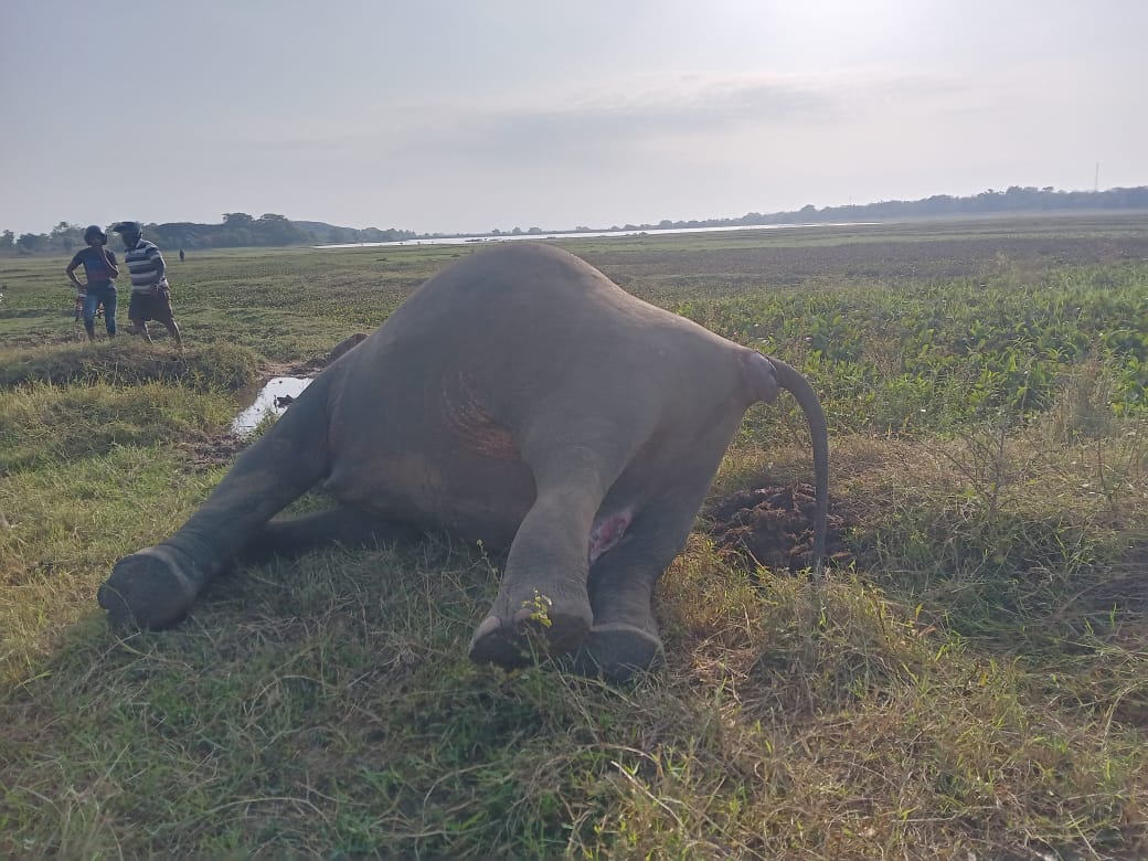 WhatsApp_Image_2023-08-15_at_00.47.10__1