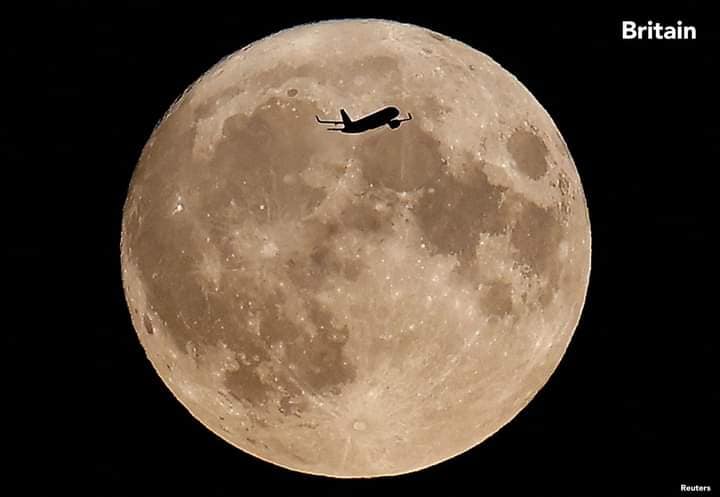 371793351_6556906827726353_8780843630193