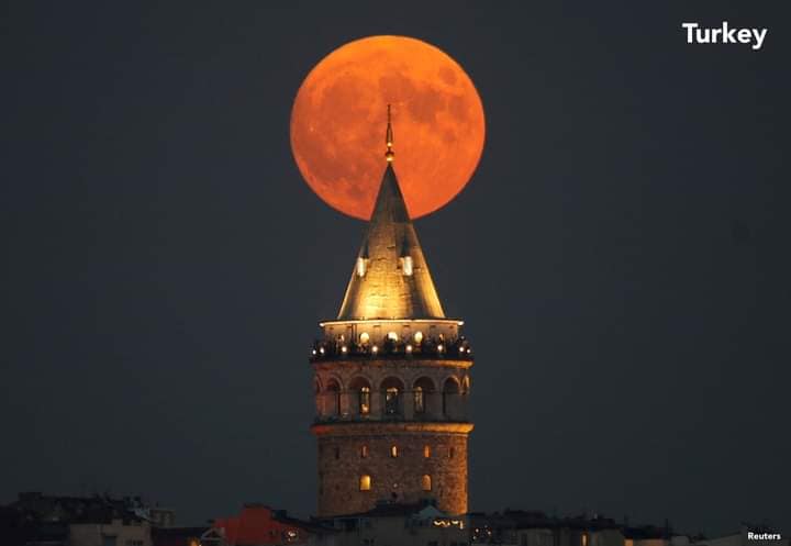 371824668_6556907107726325_8667771153601