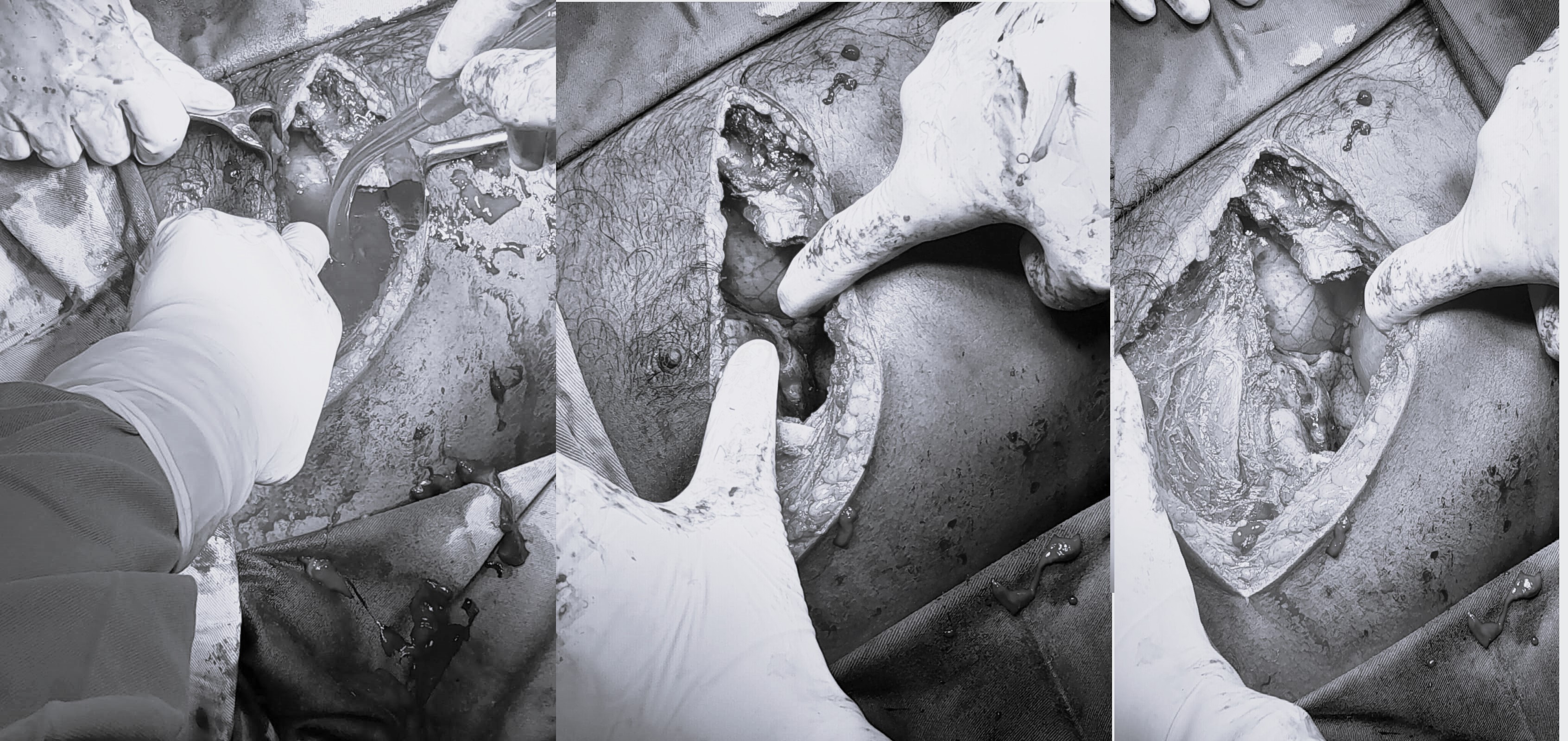 WhatsApp_Image_2023-10-11_at_5.57.06_AM_